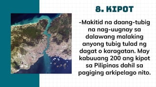 LECTURE 5-MGA ANYONG LUPA AT TUBIG SA DAIGDIG.pptx