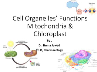 By ,
Dr. Huma Jawed
Ph.D, Pharmacology
Cell Organelles’ Functions
Mitochondria &
Chloroplast
 