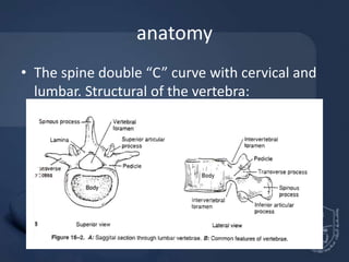 Regional Anaesthesia Techniques | PPT