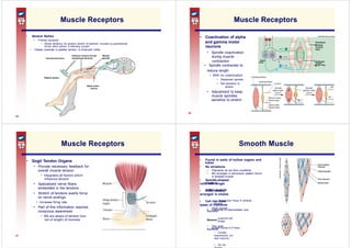 somatic nervous system lecture lesson one | PPTX