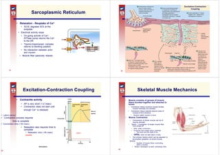 somatic nervous system lecture lesson one | PPTX
