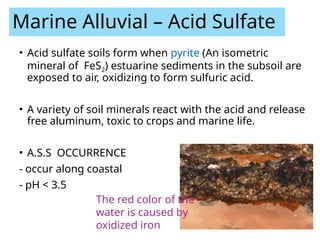 LECTURE 5-Soil Management Groups for Malaysian Soil (Felda).pptx