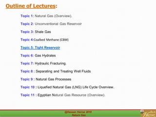 tight Gas reservoir | PDF