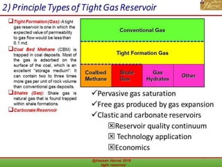 tight Gas reservoir | PDF