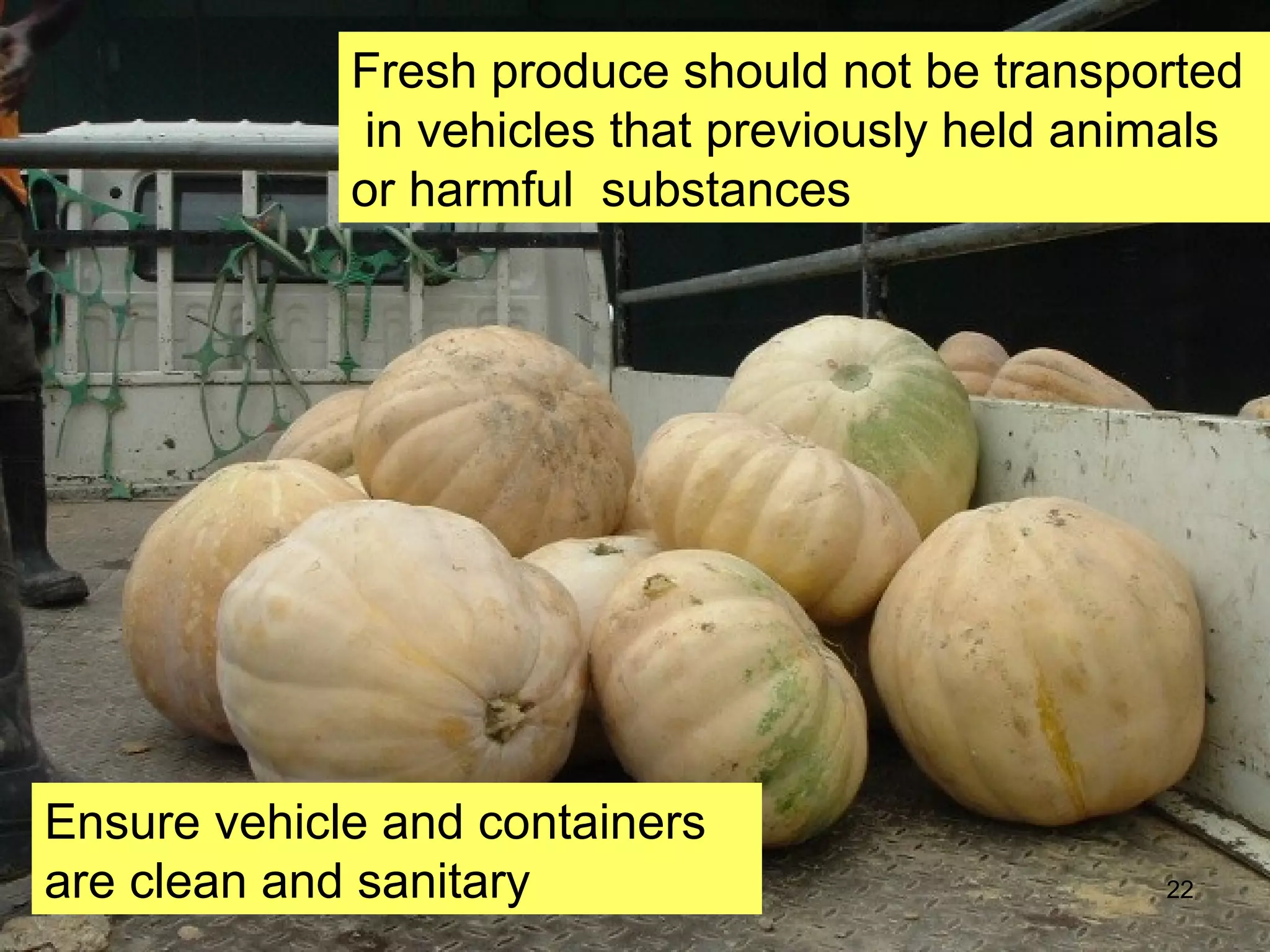 22
Ensure vehicle and containers
are clean and sanitary
Fresh produce should not be transported
in vehicles that previously held animals
or harmful substances
 