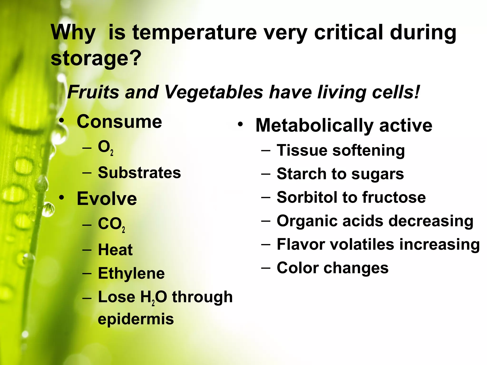 Fruits and Vegetables have living cells!
• Consume
– O2
– Substrates
• Evolve
– CO2
– Heat
– Ethylene
– Lose H2O through
epidermis
• Metabolically active
– Tissue softening
– Starch to sugars
– Sorbitol to fructose
– Organic acids decreasing
– Flavor volatiles increasing
– Color changes
Why is temperature very critical during
storage?
 
