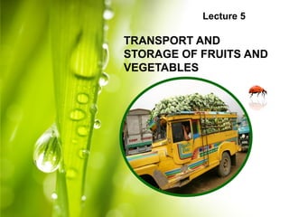 Lecture 5
TRANSPORT AND
STORAGE OF FRUITS AND
VEGETABLES
 