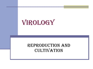 Virology   Reproduction and cultivation 