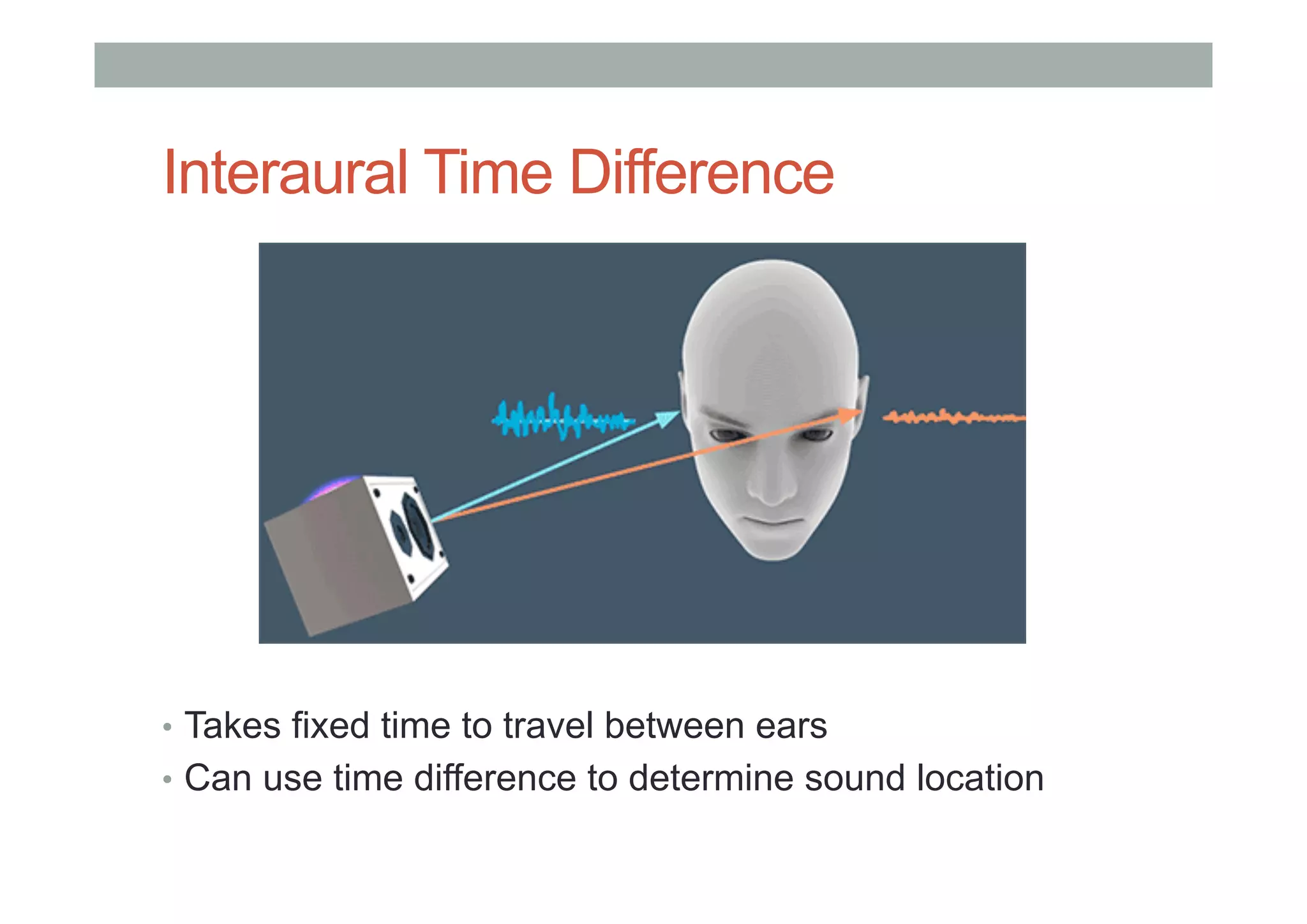 Interaural Time Difference
•  Takes fixed time to travel between ears
•  Can use time difference to determine sound location
 
