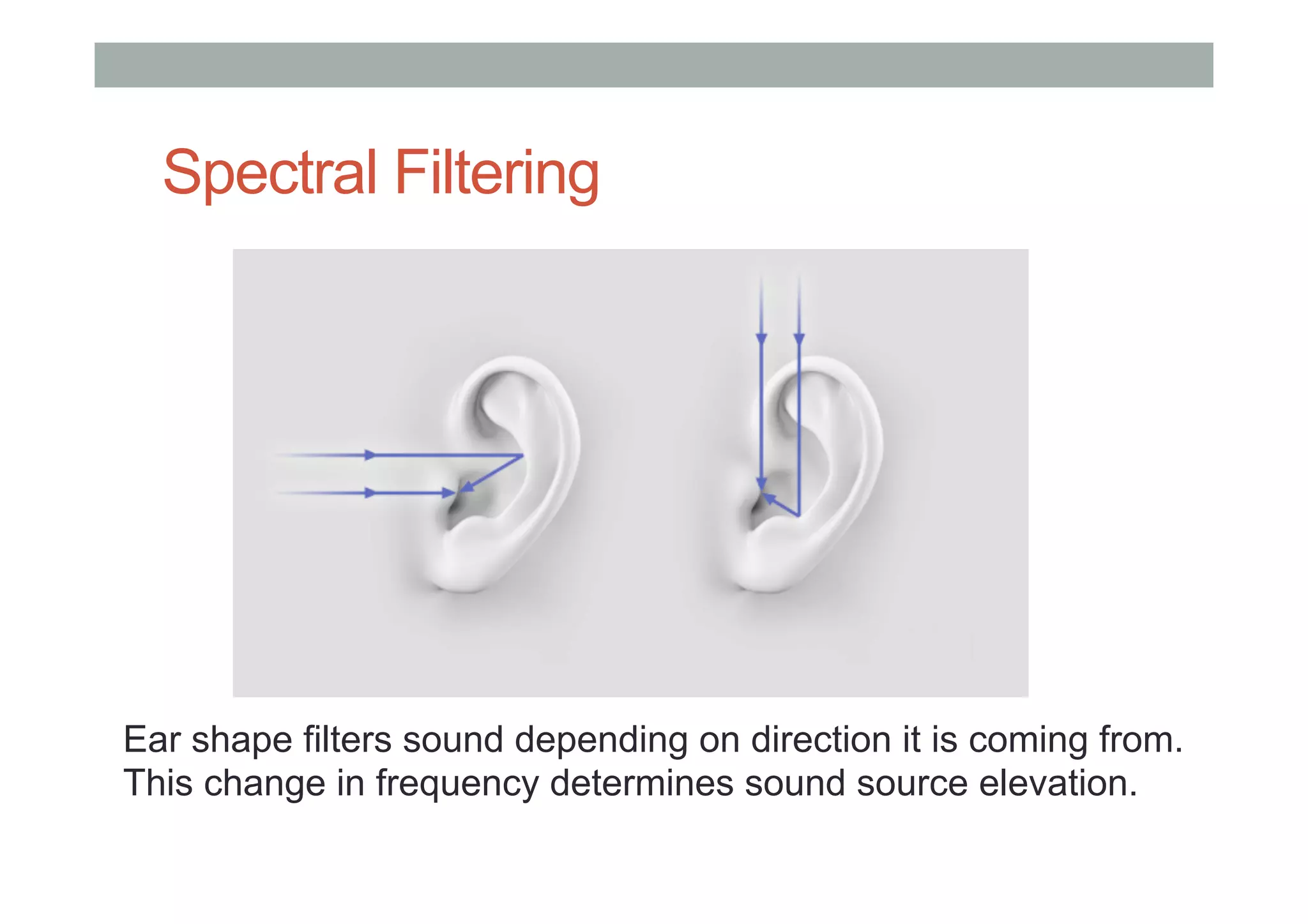 Spectral Filtering
Ear shape filters sound depending on direction it is coming from.
This change in frequency determines sound source elevation.
 