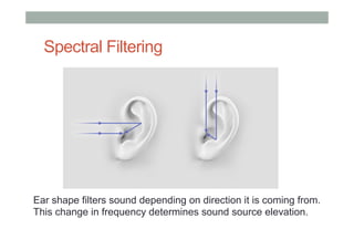 Spectral Filtering
Ear shape filters sound depending on direction it is coming from.
This change in frequency determines sound source elevation.
 