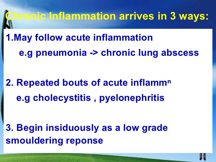 Lecture 50 chronic inflammation.ppt 4.11.11