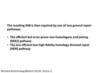 The	resul$ng	DSB	is	then	repaired	by	one	of	two	general	repair	
pathways:	
	
•  The	eﬃcient	but	error-prone	non-homologous	end	joining	
(NHEJ)	pathway	
•  The	less	eﬃcient	but	high-ﬁdelity	homology	directed	repair	
(HDR)	pathway	
Microbial	Biotechnology|Biotech-552|Dr.	Zia|Lec	3	
 