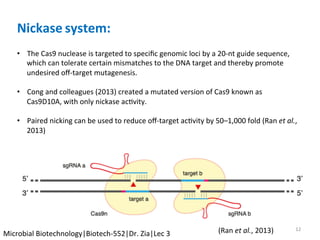 Nickase	system:		
	
•  The	Cas9	nuclease	is	targeted	to	speciﬁc	genomic	loci	by	a	20-nt	guide	sequence,	
which	can	tolerate	certain	mismatches	to	the	DNA	target	and	thereby	promote	
undesired	oﬀ-target	mutagenesis.	
	
•  Cong	and	colleagues	(2013)	created	a	mutated	version	of	Cas9	known	as	
Cas9D10A,	with	only	nickase	acKvity.	
	
•  Paired	nicking	can	be	used	to	reduce	oﬀ-target	acKvity	by	50–1,000	fold	(Ran	et	al.,	
2013)	
12	(Ran	et	al.,	2013)		Microbial	Biotechnology|Biotech-552|Dr.	Zia|Lec	3	
 