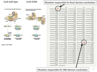 13	
Cas9-D10A	Cas9	wild	type	 MutaKon	responsible	for	RuvC	domain	inacKvaKon	
MutaKon	responsible	for	HNH	domain	inacKvaKon	
Taken	from	NEB	
 