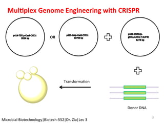 15	
OR	
Donor	DNA	
TransformaKon	
Mul$plex	Genome	Engineering	with	CRISPR	
Microbial	Biotechnology|Biotech-552|Dr.	Zia|Lec	3	
 