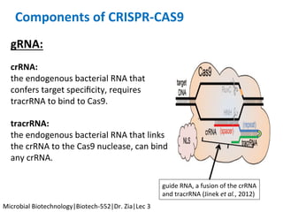Components	of	CRISPR-CAS9	
guide	RNA,	a	fusion	of	the	crRNA	
and	tracrRNA	(Jinek	et	al.,	2012)	
gRNA:	
	
	
	
	
	
crRNA:	
the	endogenous	bacterial	RNA	that	
confers	target	speciﬁcity,	requires	
tracrRNA	to	bind	to	Cas9.	
	
tracrRNA:	
the	endogenous	bacterial	RNA	that	links	
the	crRNA	to	the	Cas9	nuclease,	can	bind	
any	crRNA.	
Microbial	Biotechnology|Biotech-552|Dr.	Zia|Lec	3	
 