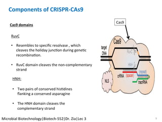 9	
Cas9	
Components	of	CRISPR-CAs9	
	
RuvC	
HNH:	
Cas9	domains	
•  Resembles	to	speciﬁc	resolvase	,	which	
cleaves	the	holiday	juncKon	during	geneKc	
recombinaKon.	
•  RuvC	domain	cleaves	the	non-complementary	
strand	
•  Two	pairs	of	conserved	hisKdines	
ﬂanking	a	conserved	asparagine		
•  The	HNH	domain	cleaves	the	
complementary	strand	
Microbial	Biotechnology|Biotech-552|Dr.	Zia|Lec	3	
 