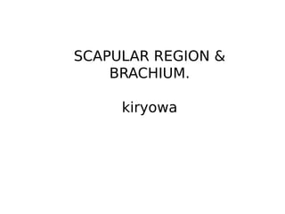 SCAPULAR REGION &
BRACHIUM.
kiryowa
 