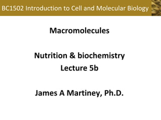 BC1502 Introduction to Cell and Molecular Biology

Macromolecules
Nutrition & biochemistry
Lecture 5b

James A Martiney, Ph.D.

 