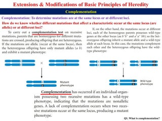 Lecture 5 BBT312 Extensions of Basic Principles of Heredity.pptx