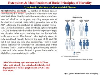 Lhon Inheritance Pattern Lecture 5 BBT312 Extensions of Basic Principles of Heredity.pptx