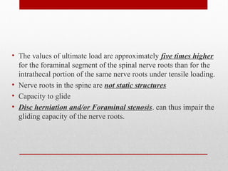 Lecture 5 BIOMECHANICS OF PERIPHERAL NERVE AND SPINAL NERVE ROOTS.ppt