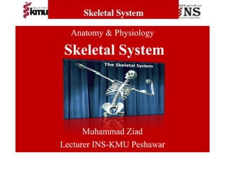 Anatomy & Physiology
Skeletal System
Muhammad Ziad
Lecturer INS-KMU Peshawar
 