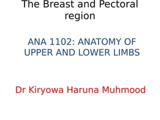 The Breast and Pectoral
region
ANA 1102: ANATOMY OF
UPPER AND LOWER LIMBS
Dr Kiryowa Haruna Muhmood
 