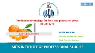 Production technology for fruit and plantation crops-
HT-244 (2+1)
PRESENTED BY:
RAKESH KUMAR PATTNAIK
Asst. Prof. Horticulture
MITS INSTITUTE OF PROFESSIONAL STUDIES
Dt- 30-04-20
LECTURE 5. CITRUS
 