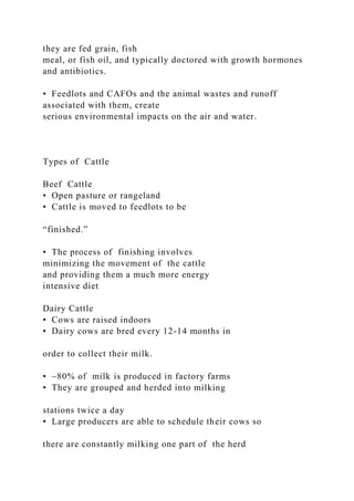 they are fed grain, fish
meal, or fish oil, and typically doctored with growth hormones
and antibiotics.
• Feedlots and CAFOs and the animal wastes and runoff
associated with them, create
serious environmental impacts on the air and water.
Types of Cattle
Beef Cattle
• Open pasture or rangeland
• Cattle is moved to feedlots to be
“finished.”
• The process of finishing involves
minimizing the movement of the cattle
and providing them a much more energy
intensive diet
Dairy Cattle
• Cows are raised indoors
• Dairy cows are bred every 12-14 months in
order to collect their milk.
• ~80% of milk is produced in factory farms
• They are grouped and herded into milking
stations twice a day
• Large producers are able to schedule their cows so
there are constantly milking one part of the herd
 