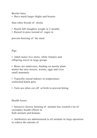 Broiler hens
• Have much larger thighs and breasts
than other breeds of chicks
• Reach full slaughter weight in 2 months
• Raised in pens instead of cages to
prevent bruising of the meat
Pigs
• Adult males live alone, while females and
offspring travel in large groups
• Boars are omnivores, feeding on mostly plant
matter but also insects, worms, eggs and even
small mammals
• Typically raised indoors in temperature-
controlled batch pens
• Tails are often cut off at birth to prevent biting
Health Issues
• Intensive factory farming of animals has created a lot of
secondary health effects in
both animals and humans
• Antibiotics are administered to all animals in large operation
to reduce the amount of
 