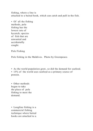 fishing, where a line is
attached to a baited hook, which can catch and pull in the fish.
• Of all the fishing
methods, pole
fishing has the
lowest rate of
bycatch; species
of fish that are
unwanted and
accidentally
caught.
Pole Fishing
Pole fishing in the Maldives. Photo by Greenpeace.
• As the world population grew, so did the demand for seafood.
• 15% of the world uses seafood as a primary source of
protein.
• Other methods
began to take
the place of pole
fishing to meet the
demand.
• Longline fishing is a
commercial fishing
technique where baited
hooks are attached to a
 