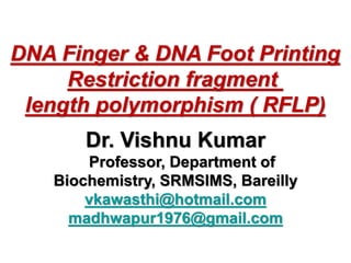 Dr. Vishnu Kumar
Professor, Department of
Biochemistry, SRMSIMS, Bareilly
vkawasthi@hotmail.com
madhwapur1976@gmail.com
DNA Finger & DNA Foot Printing
Restriction fragment
length polymorphism ( RFLP)
 