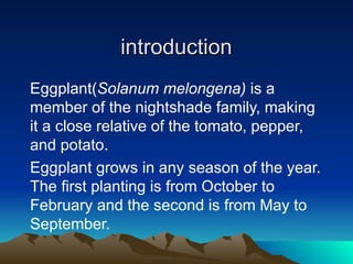 introduction
introduction
Eggplant(Solanum melongena) is a
member of the nightshade family, making
it a close relative of the tomato, pepper,
and potato.
Eggplant grows in any season of the year.
The first planting is from October to
February and the second is from May to
September.
 