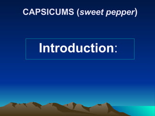 CAPSICUMS (sweet pepper)
Introduction:
 