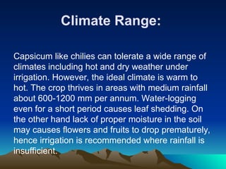 Climate Range:
Capsicum like chilies can tolerate a wide range of
climates including hot and dry weather under
irrigation. However, the ideal climate is warm to
hot. The crop thrives in areas with medium rainfall
about 600-1200 mm per annum. Water-logging
even for a short period causes leaf shedding. On
the other hand lack of proper moisture in the soil
may causes flowers and fruits to drop prematurely,
hence irrigation is recommended where rainfall is
insufficient.
 