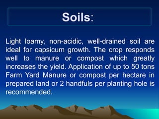 Soils:
Light loamy, non-acidic, well-drained soil are
ideal for capsicum growth. The crop responds
well to manure or compost which greatly
increases the yield. Application of up to 50 tons
Farm Yard Manure or compost per hectare in
prepared land or 2 handfuls per planting hole is
recommended.
 