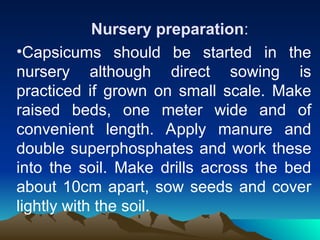 Nursery preparation:
•Capsicums should be started in the
nursery although direct sowing is
practiced if grown on small scale. Make
raised beds, one meter wide and of
convenient length. Apply manure and
double superphosphates and work these
into the soil. Make drills across the bed
about 10cm apart, sow seeds and cover
lightly with the soil.
 