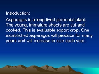 Introduction:
Asparagus is a long-lived perennial plant.
The young, immature shoots are cut and
cooked. This is evaluable export crop. One
established asparagus will produce for many
years and will increase in size each year.
 