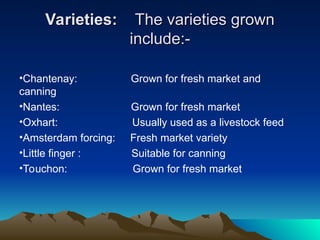 Varieties:
Varieties: The varieties grown
The varieties grown
include:-
include:-
•Chantenay: Grown for fresh market and
canning
•Nantes: Grown for fresh market
•Oxhart: Usually used as a livestock feed
•Amsterdam forcing: Fresh market variety
•Little finger : Suitable for canning
•Touchon: Grown for fresh market
 