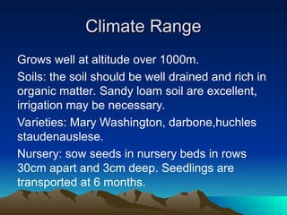 Climate Range
Climate Range
Grows well at altitude over 1000m.
Soils: the soil should be well drained and rich in
organic matter. Sandy loam soil are excellent,
irrigation may be necessary.
Varieties: Mary Washington, darbone,huchles
staudenauslese.
Nursery: sow seeds in nursery beds in rows
30cm apart and 3cm deep. Seedlings are
transported at 6 months.
 