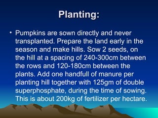 Planting:
Planting:
• Pumpkins are sown directly and never
transplanted. Prepare the land early in the
season and make hills. Sow 2 seeds, on
the hill at a spacing of 240-300cm between
the rows and 120-180cm between the
plants. Add one handfull of manure per
planting hill together with 125gm of double
superphosphate, during the time of sowing.
This is about 200kg of fertilizer per hectare.
 