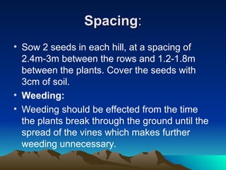 Spacing
Spacing:
:
• Sow 2 seeds in each hill, at a spacing of
2.4m-3m between the rows and 1.2-1.8m
between the plants. Cover the seeds with
3cm of soil.
• Weeding:
• Weeding should be effected from the time
the plants break through the ground until the
spread of the vines which makes further
weeding unnecessary.
 