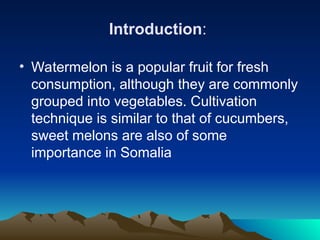 Introduction:
• Watermelon is a popular fruit for fresh
consumption, although they are commonly
grouped into vegetables. Cultivation
technique is similar to that of cucumbers,
sweet melons are also of some
importance in Somalia
 