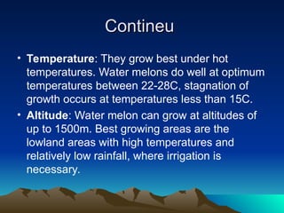 Contineu
Contineu
• Temperature: They grow best under hot
temperatures. Water melons do well at optimum
temperatures between 22-28C, stagnation of
growth occurs at temperatures less than 15C.
• Altitude: Water melon can grow at altitudes of
up to 1500m. Best growing areas are the
lowland areas with high temperatures and
relatively low rainfall, where irrigation is
necessary.
 