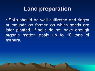 Land preparation
: Soils should be well cultivated and ridges
or mounds on formed on which seeds are
later planted. If soils do not have enough
organic matter, apply up to 10 tons of
manure.
 