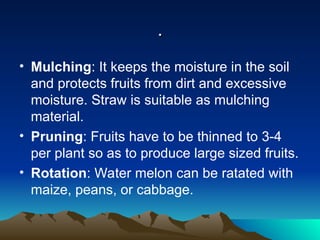 .
.
• Mulching: It keeps the moisture in the soil
and protects fruits from dirt and excessive
moisture. Straw is suitable as mulching
material.
• Pruning: Fruits have to be thinned to 3-4
per plant so as to produce large sized fruits.
• Rotation: Water melon can be ratated with
maize, peans, or cabbage.
 