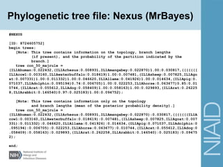 Phylogenetics: Making publication-quality tree figures | PPTX