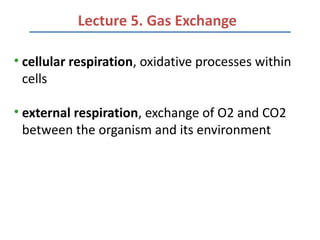 Lecture 5. Gas Exchange

• cellular respiration, oxidative processes within
  cells

• external respiration, exchange of O2 and CO2
  between the organism and its environment
 